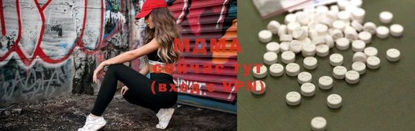 индика Гусев
