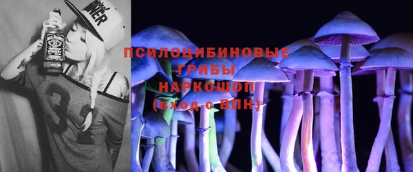 эйфоретик Горно-Алтайск