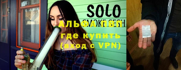 индика Гусев