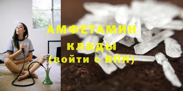 индика Гусев