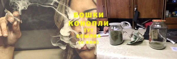 индика Гусев