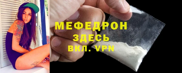 индика Гусев
