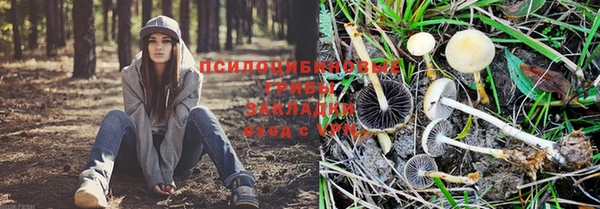 мяу мяу кристалл Гусиноозёрск