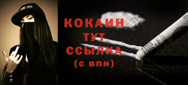 индика Гусев