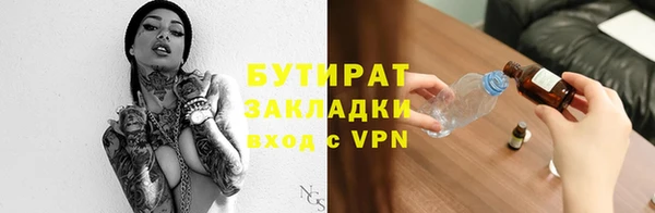 индика Гусев