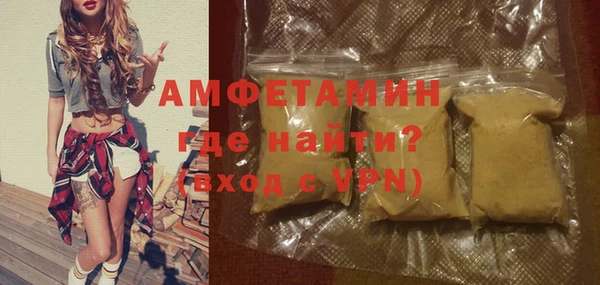 индика Гусев