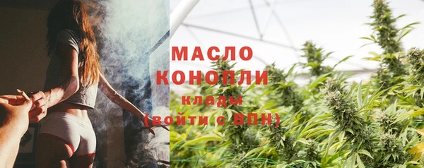 индика Гусев