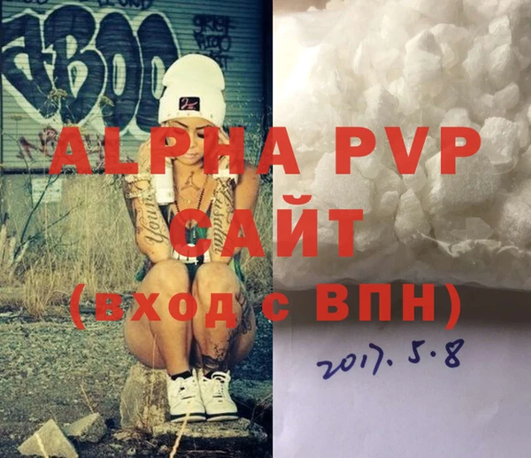 индика Гусев