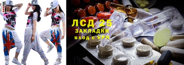 тгк Снежногорск