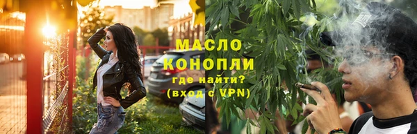 индика Гусев