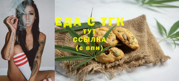 индика Гусев