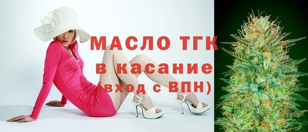 тгк Дмитриев